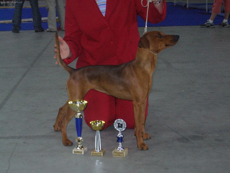 Foto: výstava-hurá!