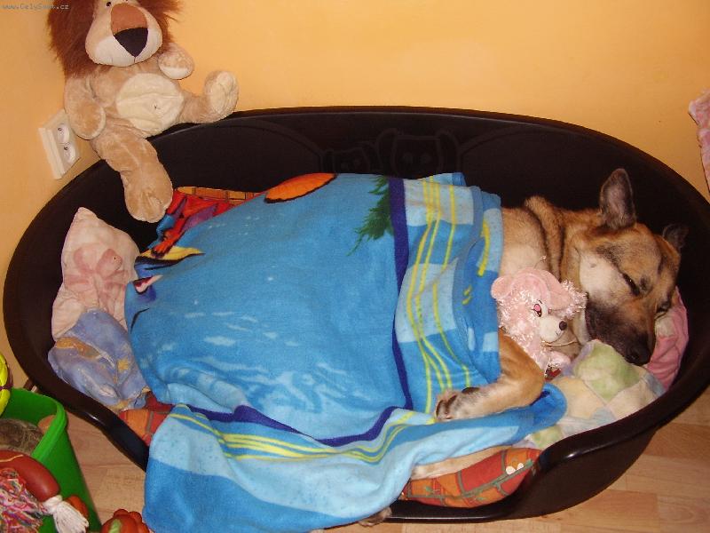 Foto: Nelly-To je můj pelíšek