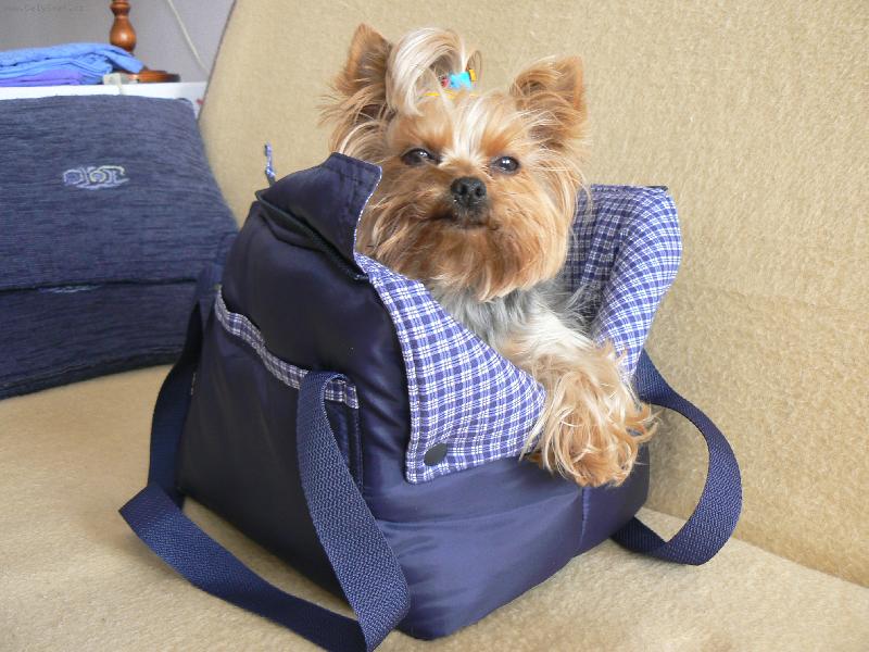 Foto: Taška ma pejsky-PAnička šila tašku pro jednu jorkšírku,tak jsem jí testovala...