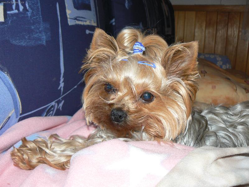 Foto: ospinkaná Adélka