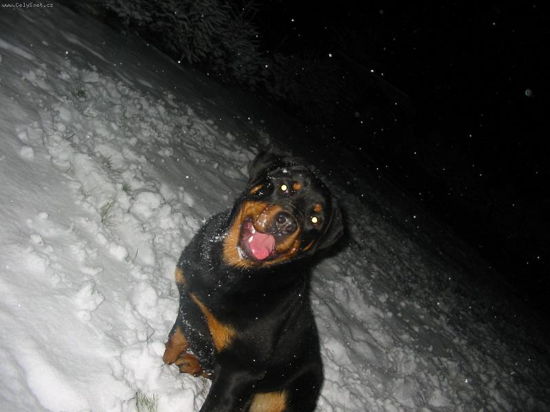 Foto: M�j prvn� sn�h