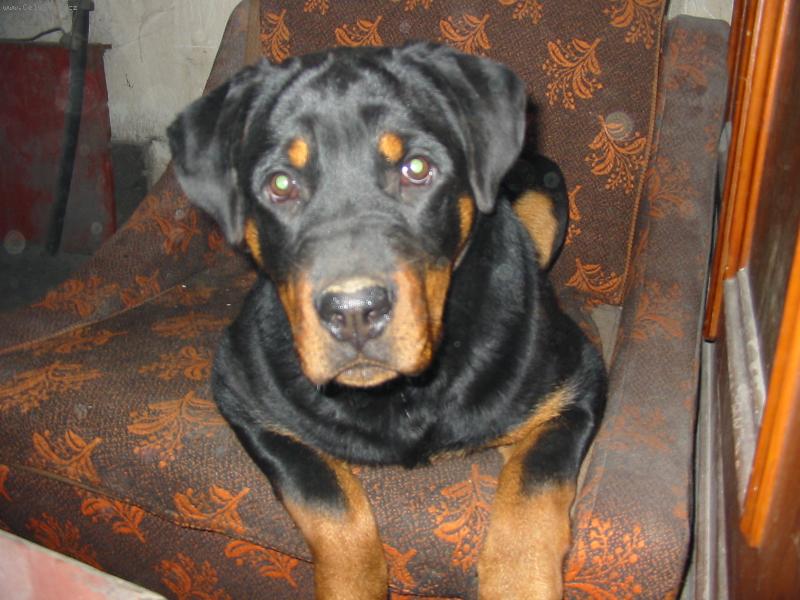 Foto: jen tak lenoším