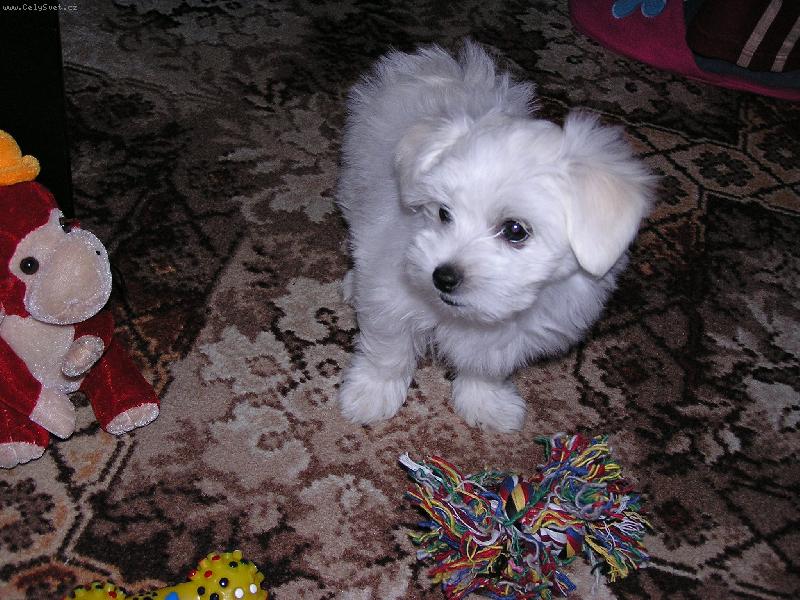 Foto: Lucy-To je naše Lucy!!!!!