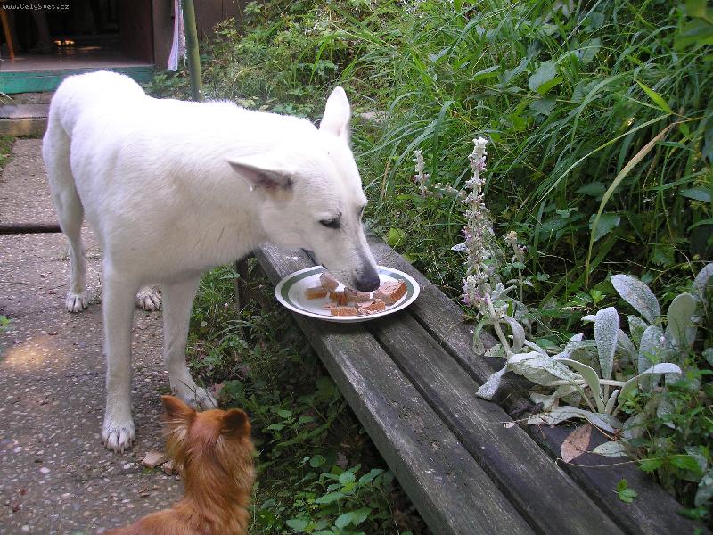 Foto: Šíla-super!!!!!!!!!!!!