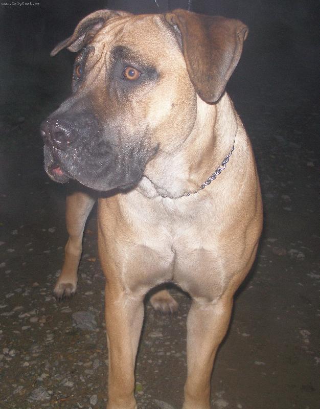 Foto: Cheynnee-Tak tady naše malá kouká na lumpíčka :D