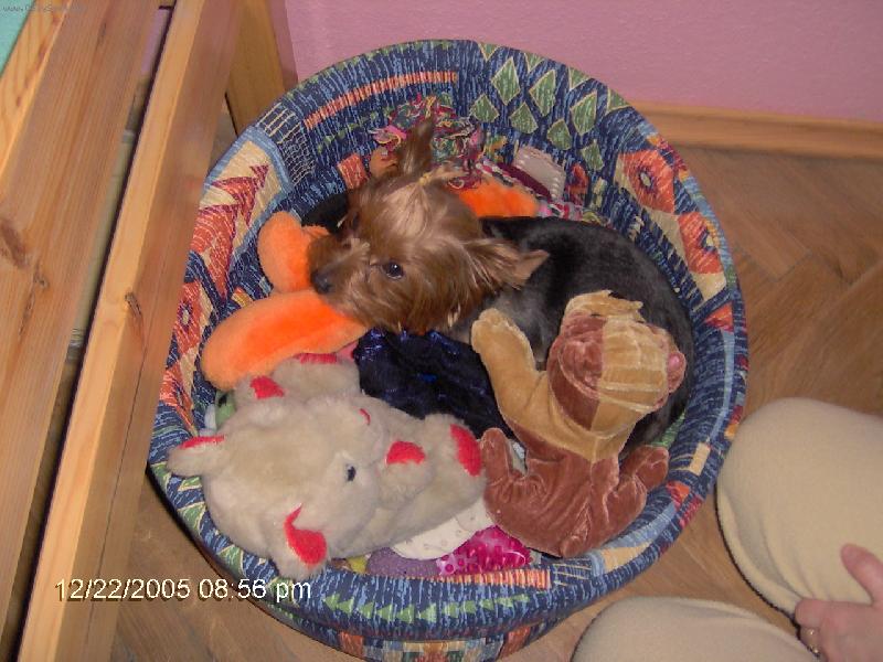 Foto: Můj pelíšek