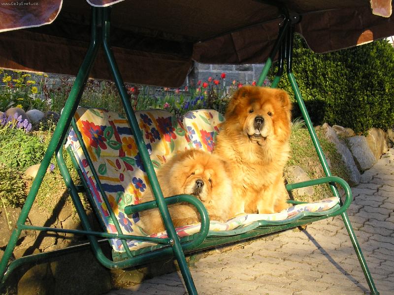 Foto: odpolední siesta