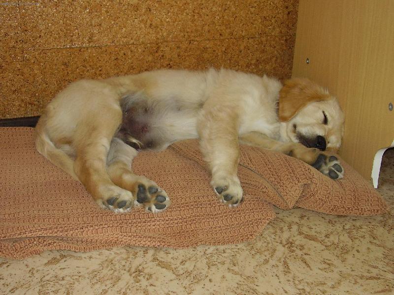 Foto: Denny-Náš dennynek chrní