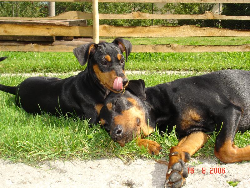 Foto: Odpolední siesta