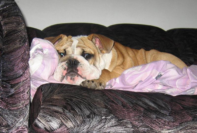 Foto: BARNY-odpočinek v peřince