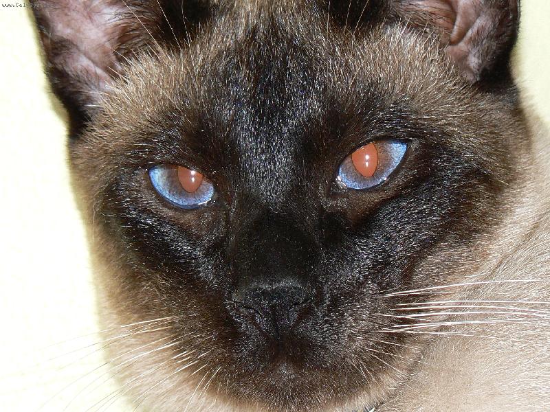 Foto: Maximilian Hanuš-Bacha na mě