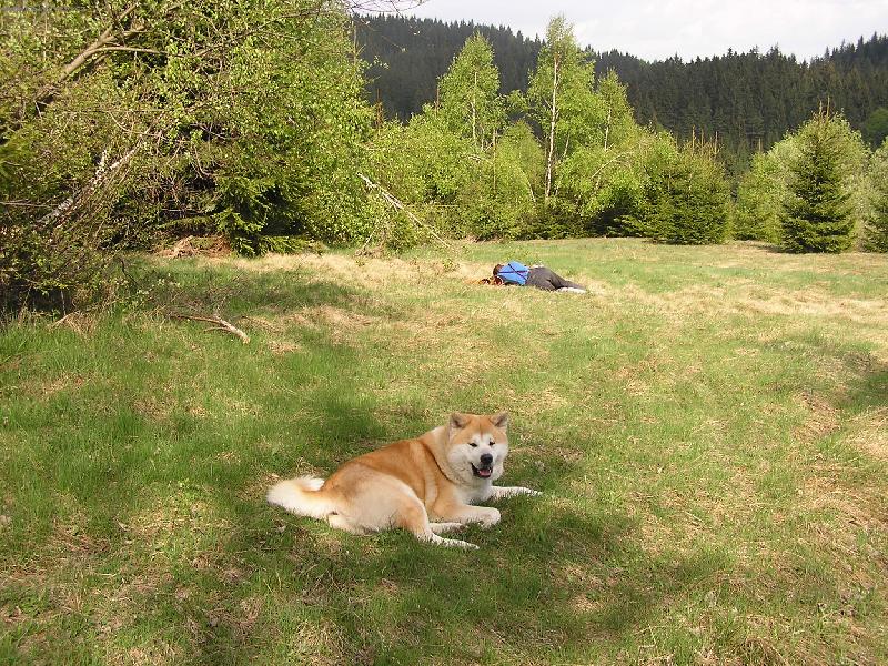 Foto: Pán i já jsme prostě po tůře unavení, no!-Agasschi na Kysuciach