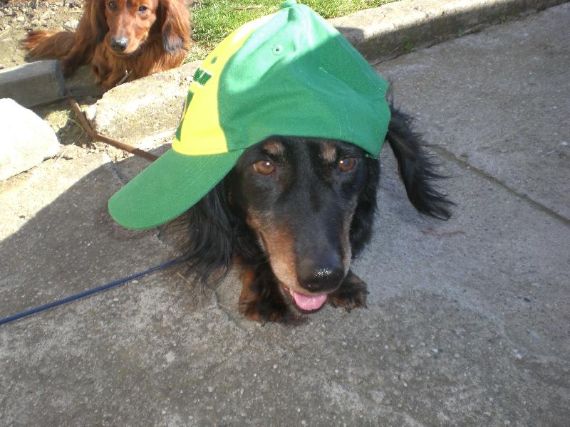 Foto: punta-at mi nesviti na hlavu