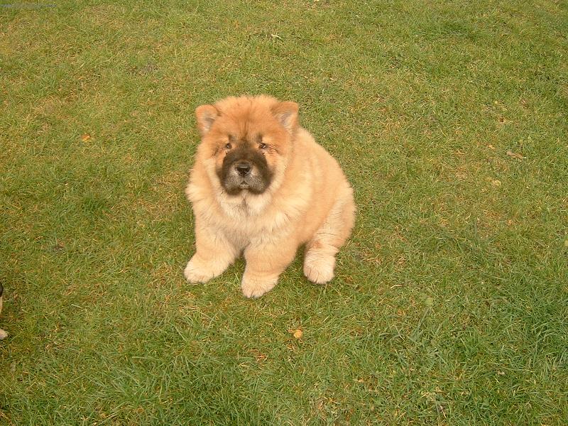 Foto: ahoj kamarádi-já jsem Bárníček