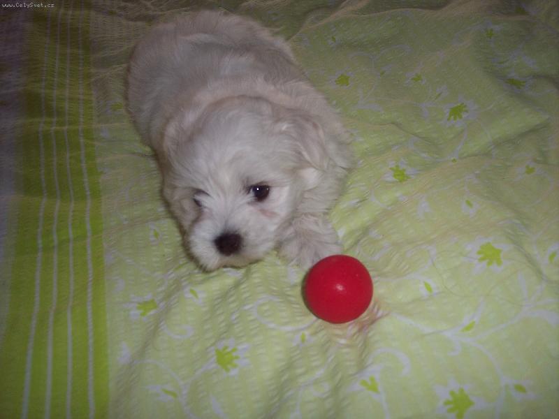 Foto: ABBÝSEK-To je náš špunt