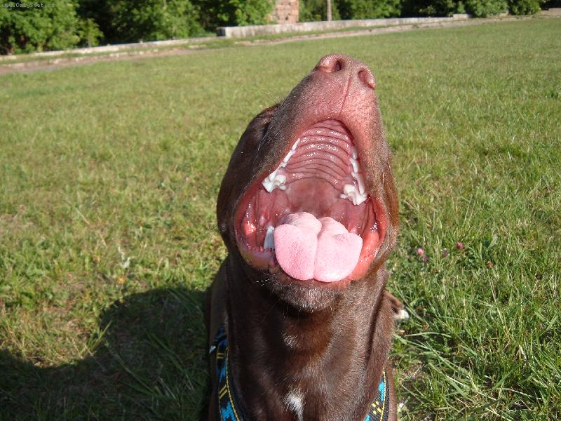 Foto: bez komentáře