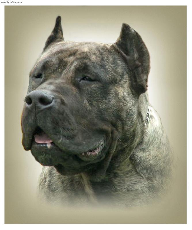 Foto: Wika Kwintylion