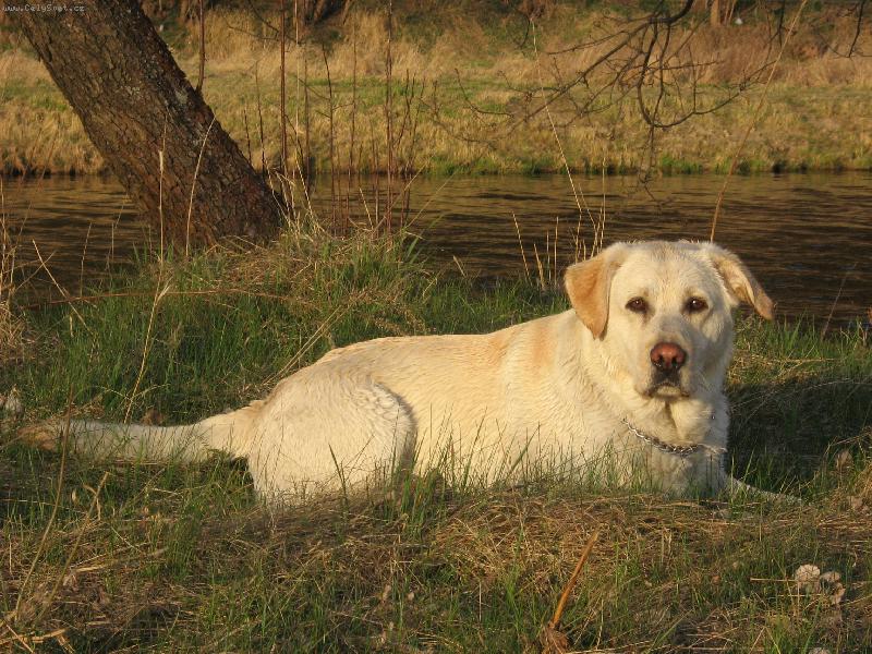 Foto: Argo-Argo a západ slunce