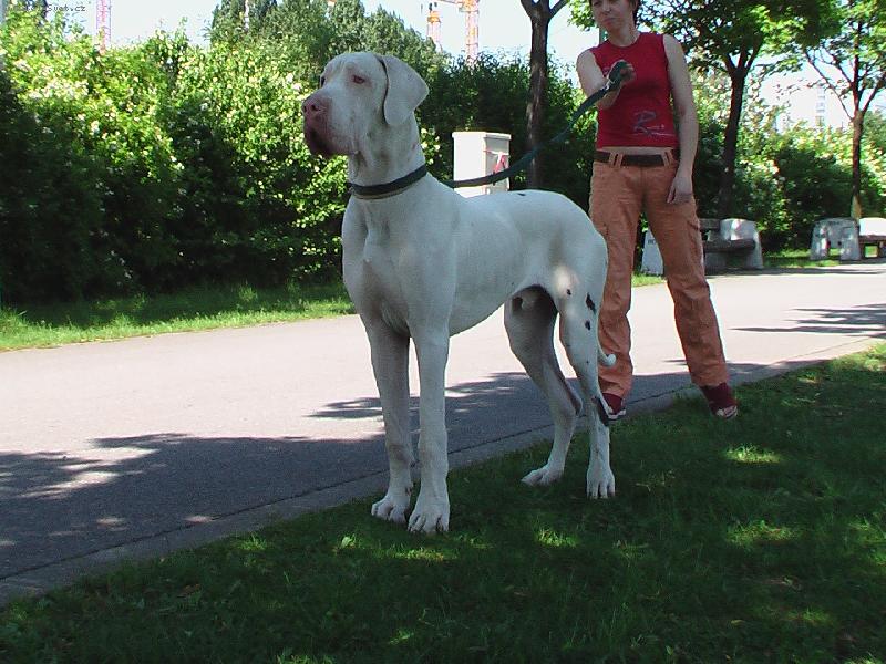 Foto: Campbell Quincy Etc.