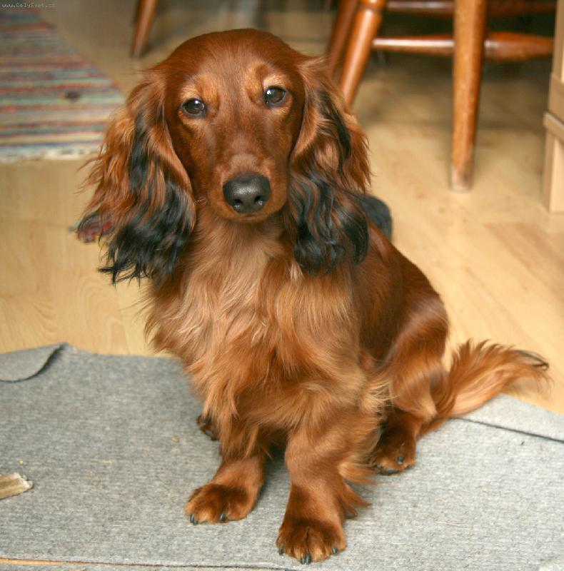 Foto: Jiminek-no neni kraaasnej?