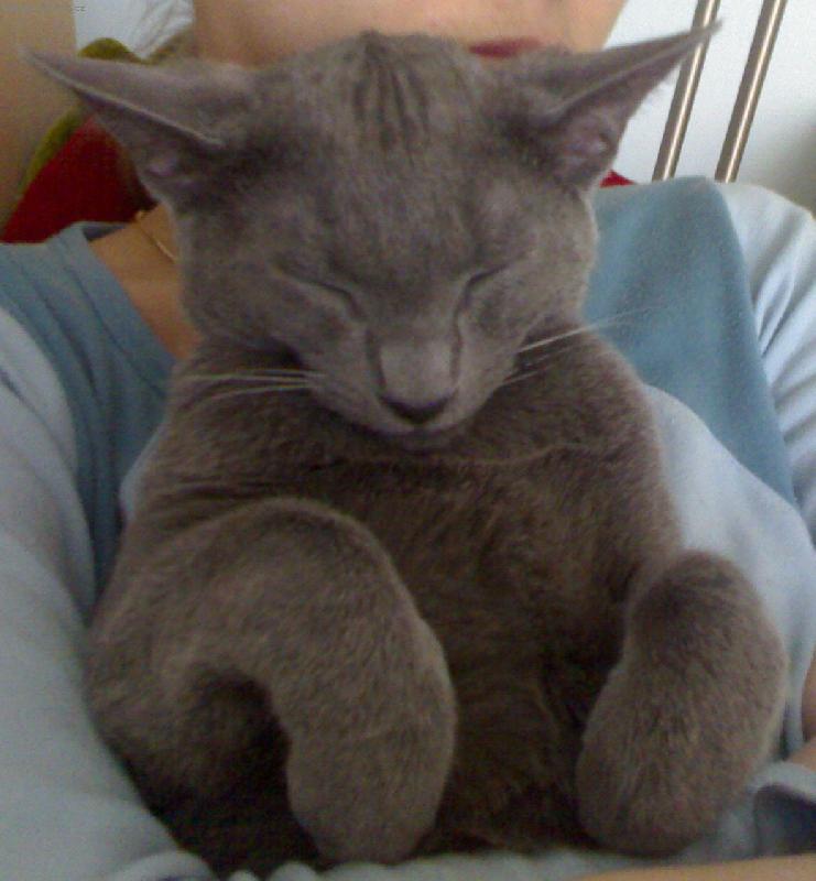 Foto: NIRVÁNA-POHODOVÁ RELAXACE