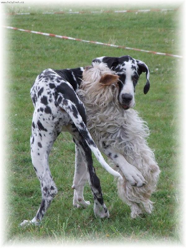 Foto: Láska na první pohled