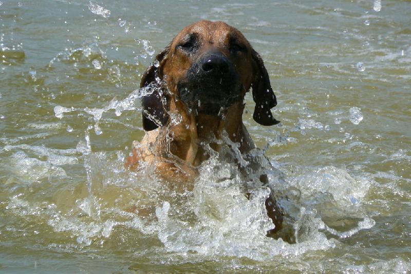 Foto: Tak už se nebojím plavat :-))