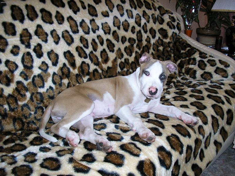 Foto: jsem gaučkulturák