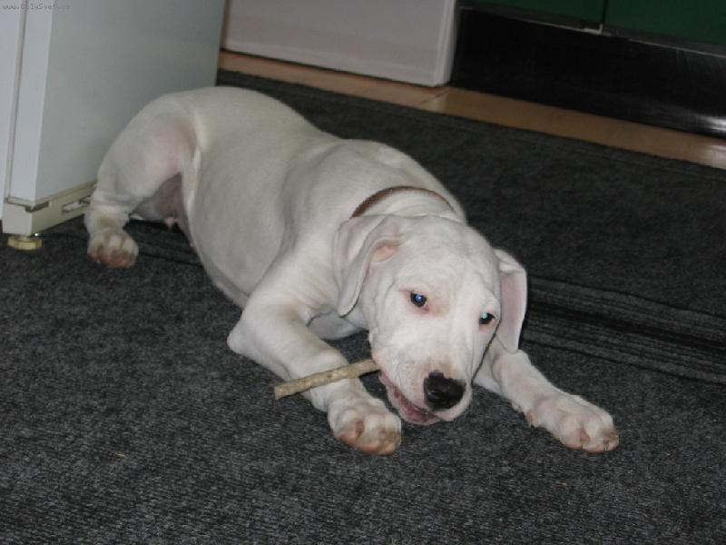 Foto: Aduška-Žužlající klacek ve 3 měsících