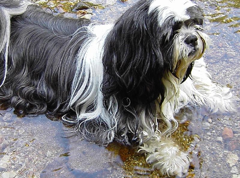 Foto: miláček-koupel