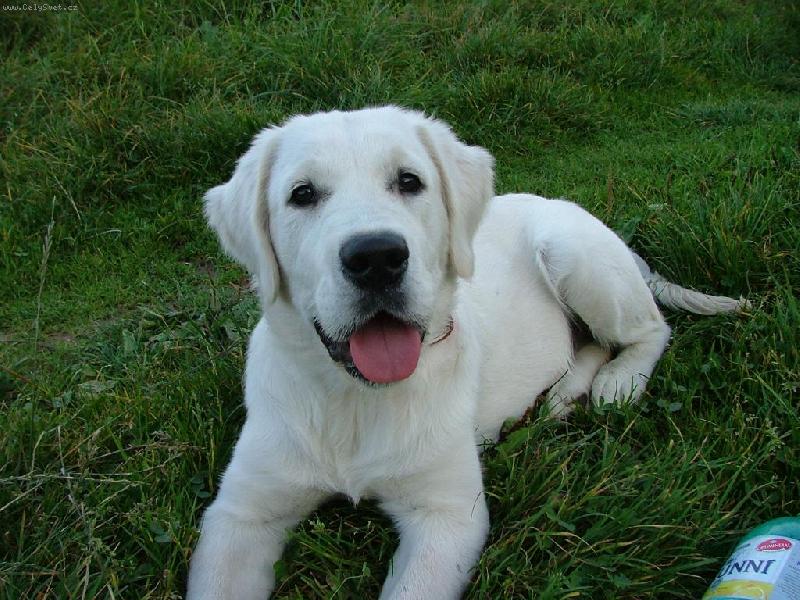 Foto: čumim jak umim-Moje dneska už tříletá potvůrka :)