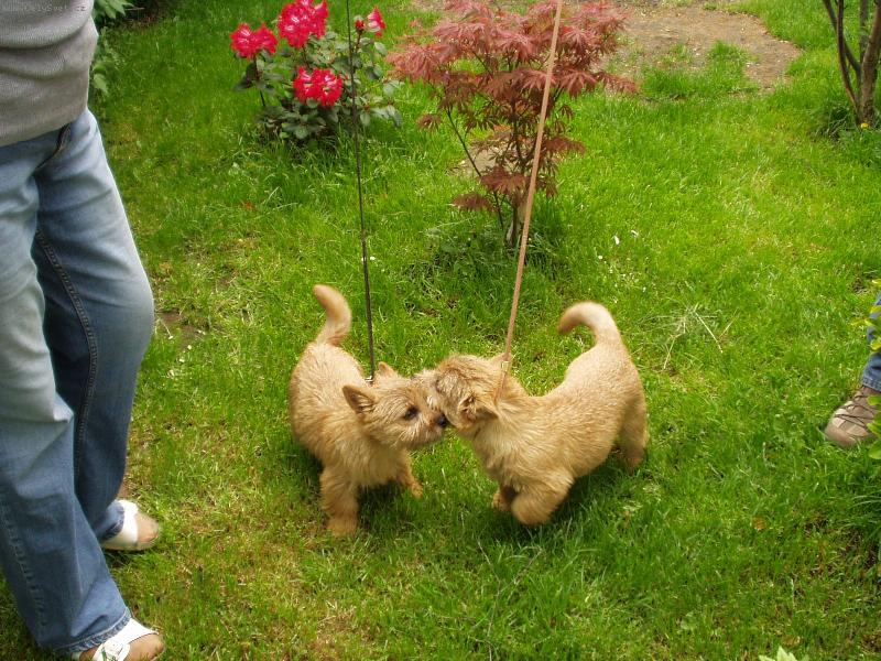 Foto: Citta   Clara Happy Naux-setkání po měsíci