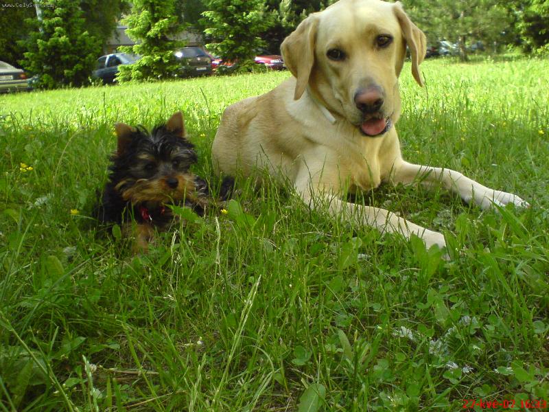 Foto: Bára s Edíkem-Letní sedánek