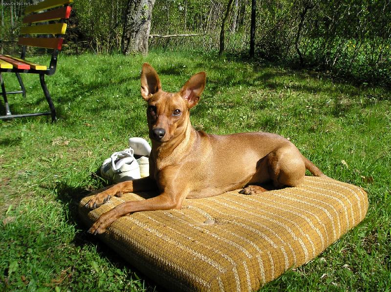 Foto: Mairra Marieta