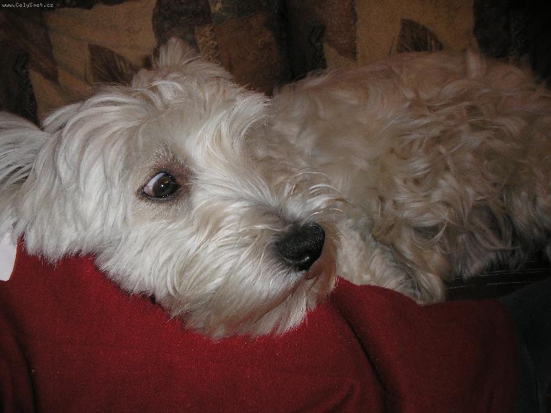 Foto: Ježiš co to jee!!!??