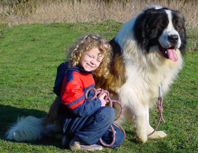 Foto: Železnyj Blesk - import Rusko - 2 roky