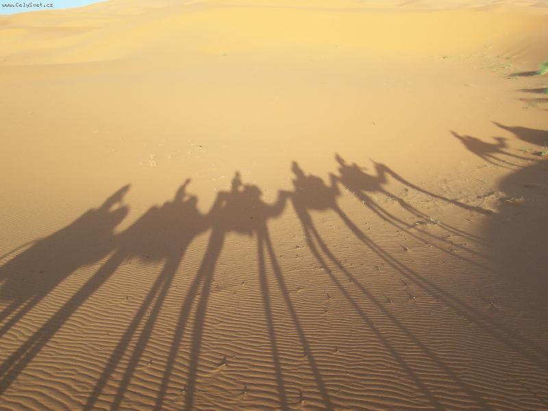 Foto: pohled z velbloudího hřbetu