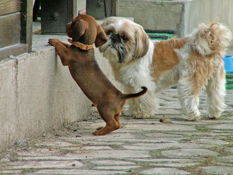 Foto: N� bert�ek-Berune�ka