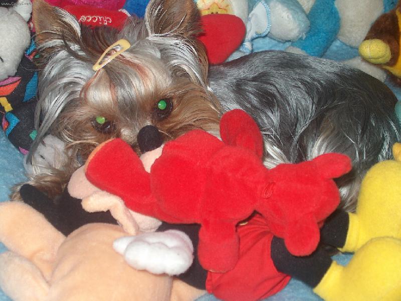 Foto: Adélka-jo jo fakt tam je