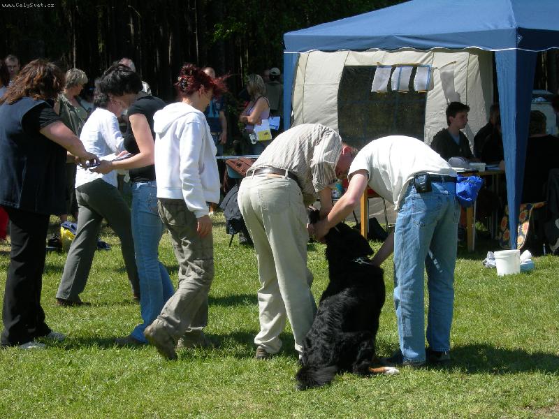 Foto: Indi-v lese je krásně