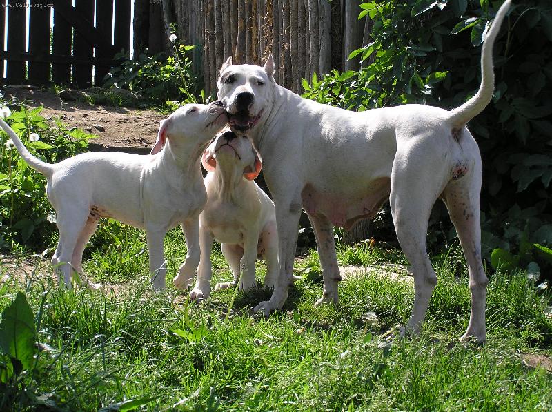 Foto: Don T, Damia, Espina-www.blanskyles.info