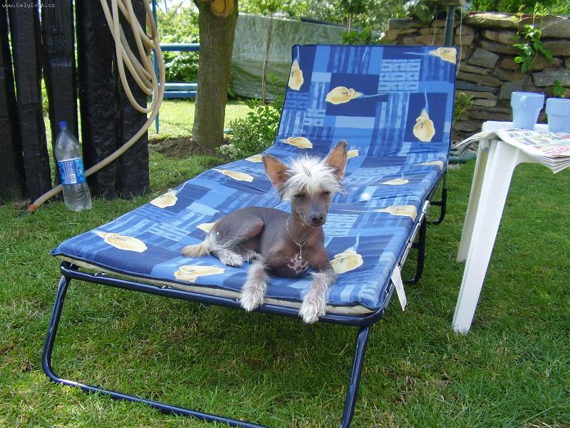 Foto: Fanny 4 měsíce-odpolední siesta na zahradě