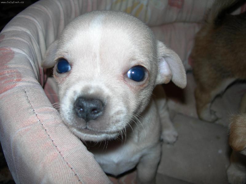 Foto: František-Fráňa