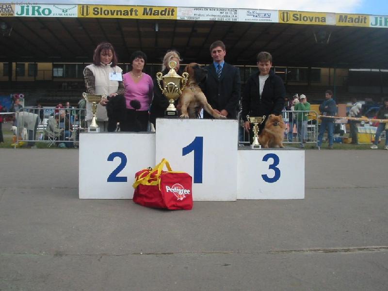 Foto: Německý pic malý - Aissi Sandiré-NV-Brno-BIS3, BIG1