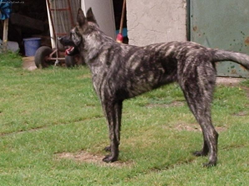 Foto: arwenny Holand-Arwenny