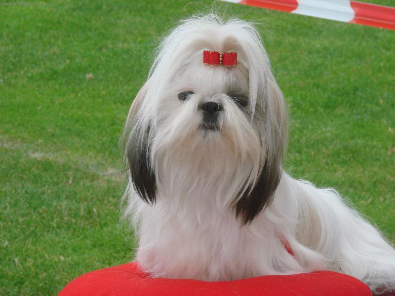 Foto: Rozárka z IVAFRE