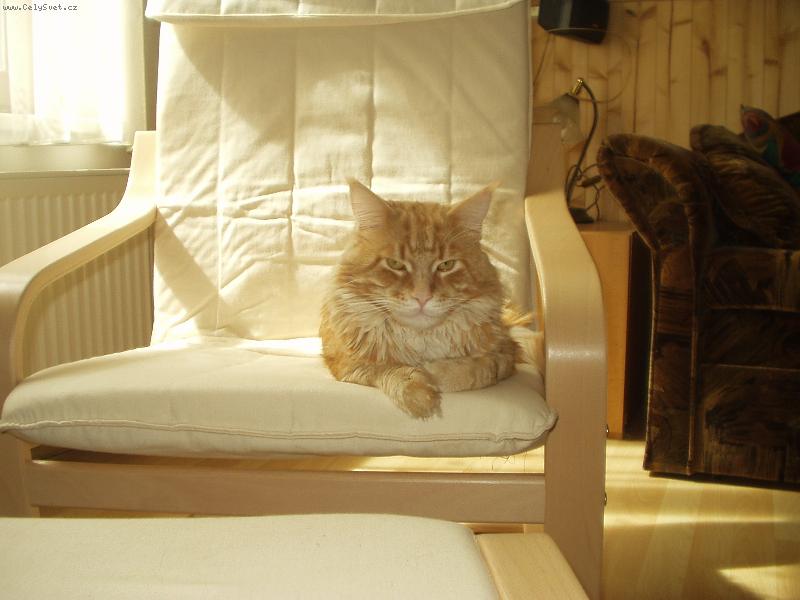 Foto: Odpolední odpočinek