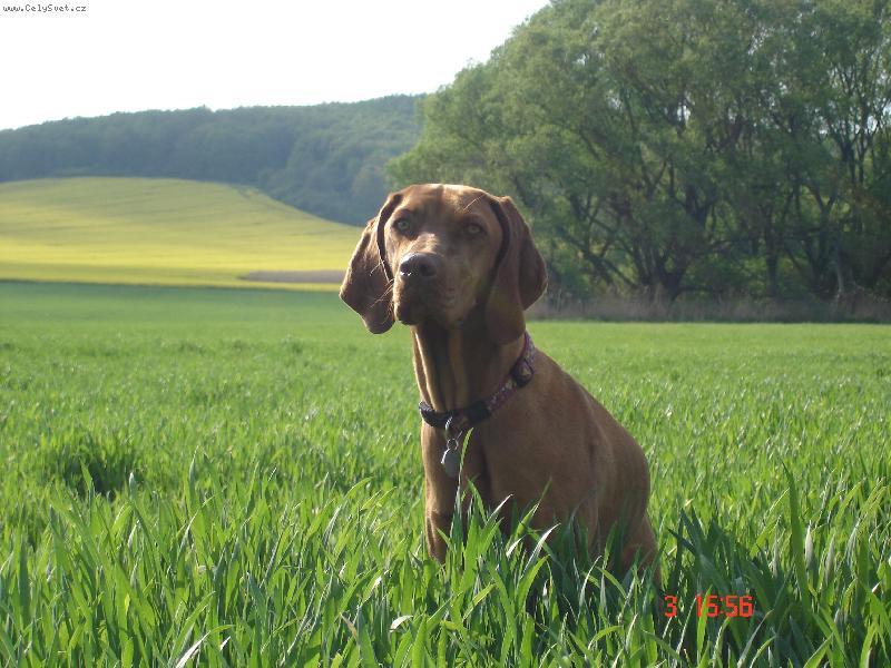 Foto: Bora z Labské Lhoty