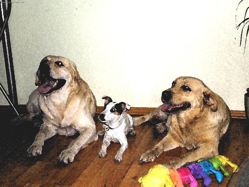 Foto: Společensto DAK (Dasty, Agnes, Kesi)