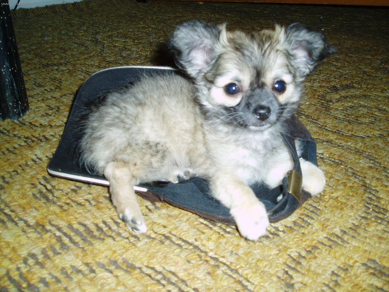 Foto: Cristy Nochero Kwisava